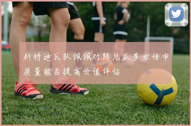 科特迪瓦队佩佩对阵厄瓜多尔传中质量能否提高价值评估